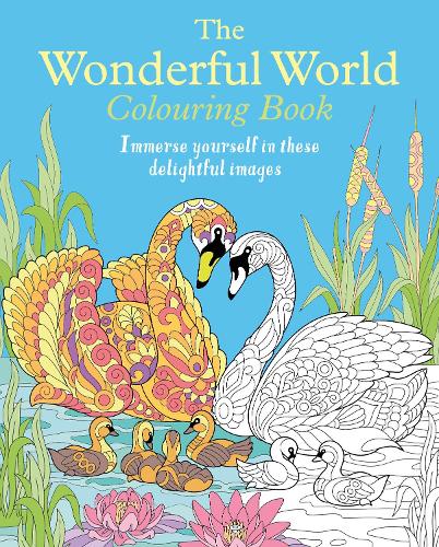 The Wonderful World Colouring Book: Immerse yourself in these delightful images (Arcturus Creative Colouring