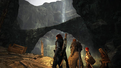 Capcom EntertainmentWorld Dragon's Dogma: Dark Arisen for Nintendo Switch, Black (41012