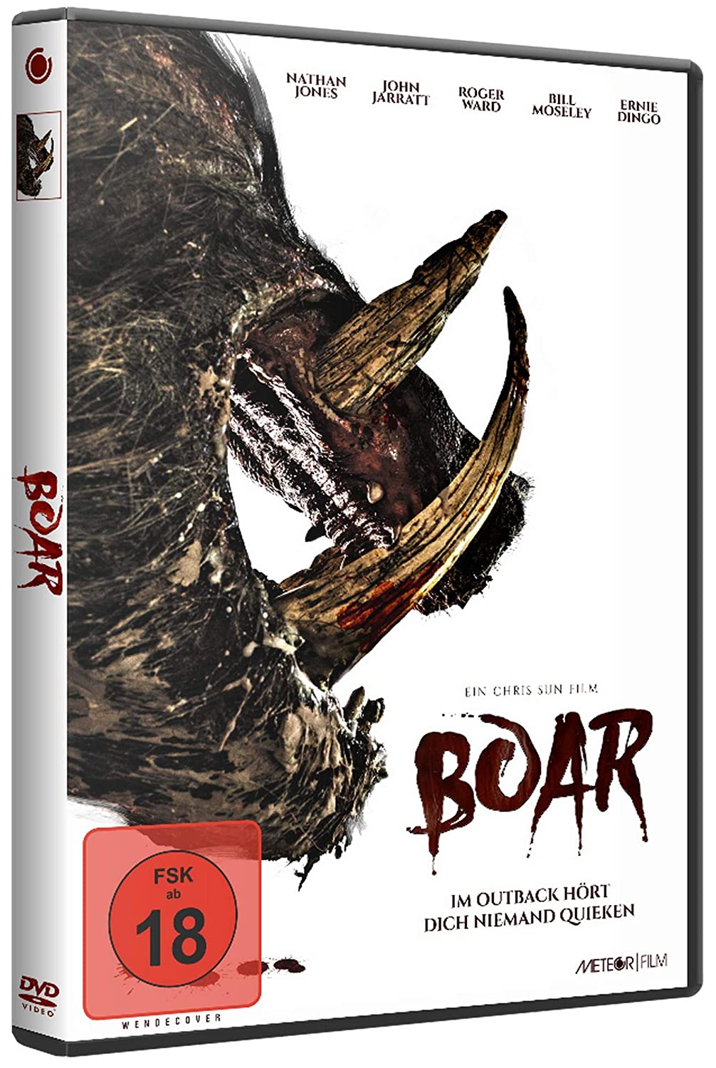 Boar