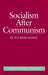 Socialism After Communism