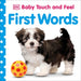 Baby Touch and Feel First Words