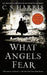 What Angels Fear