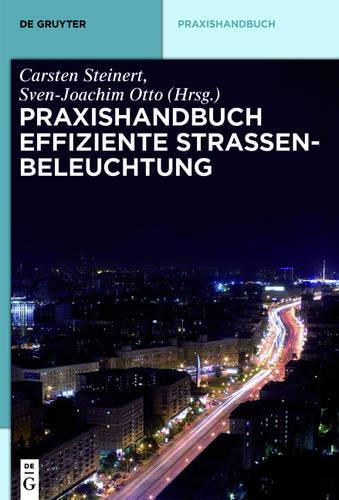 Praxishandbuch effiziente Straßenbeleuchtung (De Gruyter Praxishandbuch) (German Edition