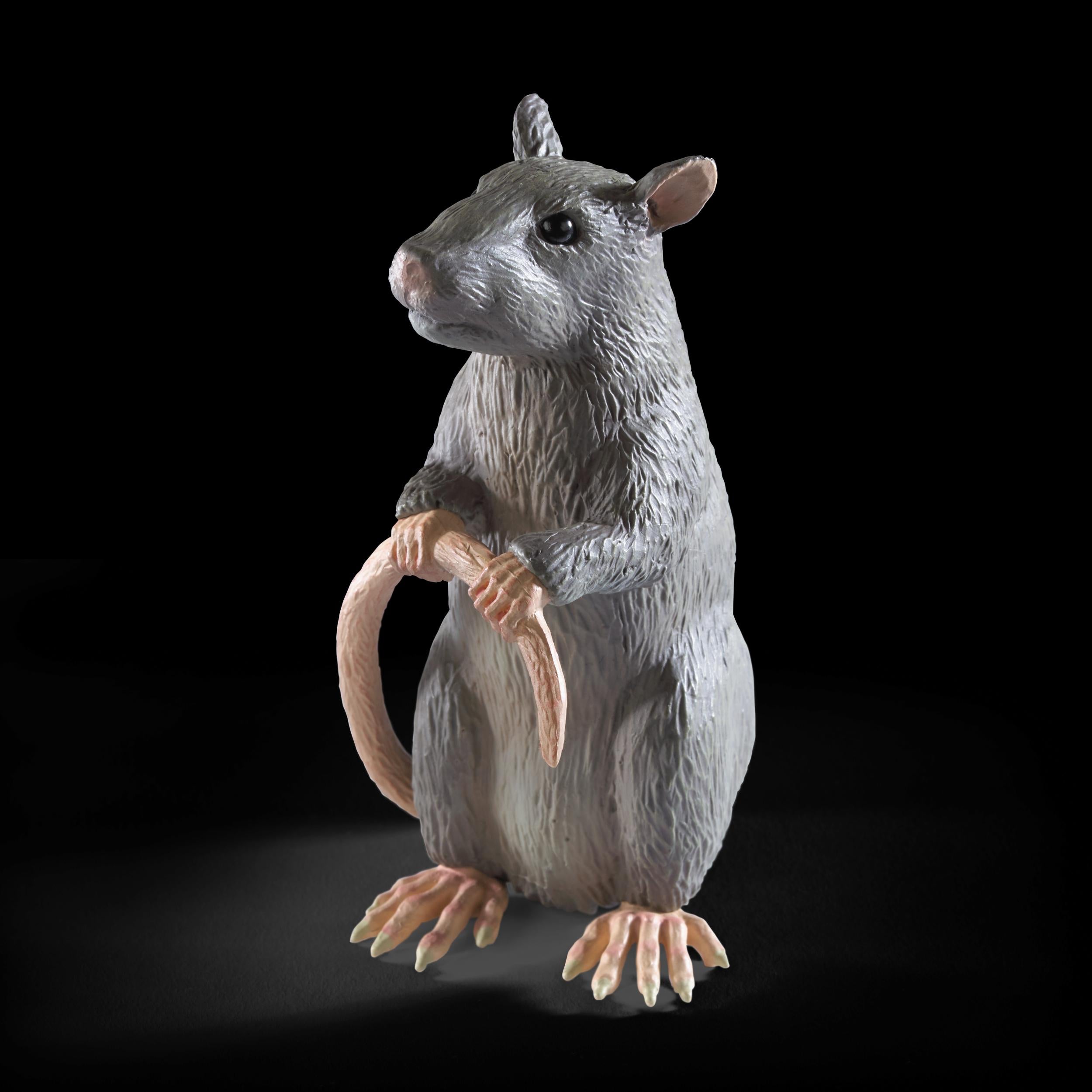 The Noble Collection - Magical Creatures Scabbers - Hand-Painted Magical Creature #14 - Officially Licensed 7in (18.5cm) Harry Potter Toys Collectable Figures - For Kids & Adults