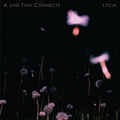 A Line That Connects