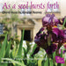 As a Seed Bursts Forth: Choral Music By Annabel Rooney