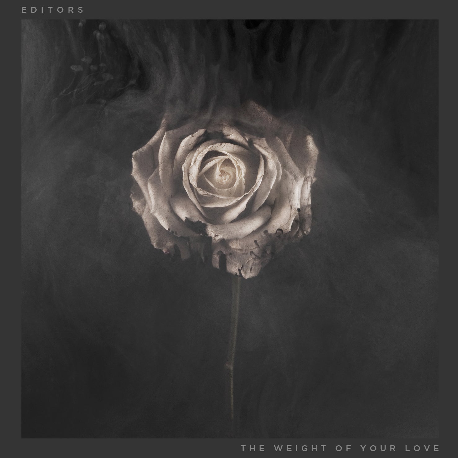 The Weight of Your Love