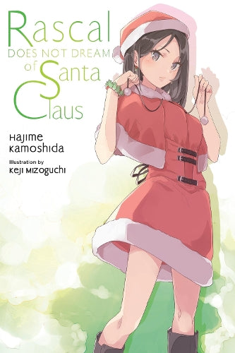 Rascal Does Not Dream of Santa Claus (light novel): Volume 13 (Rascal Does Not Dream (Light Novel