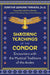 Shamanic Teachings of the Condor