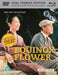 Equinox Flower