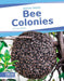 Bee Colonies