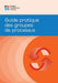 Process Groups: A Practice Guide (FRENCH)