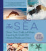 The Sea
