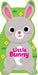 Little Bunny (Little Shaped Board Books
