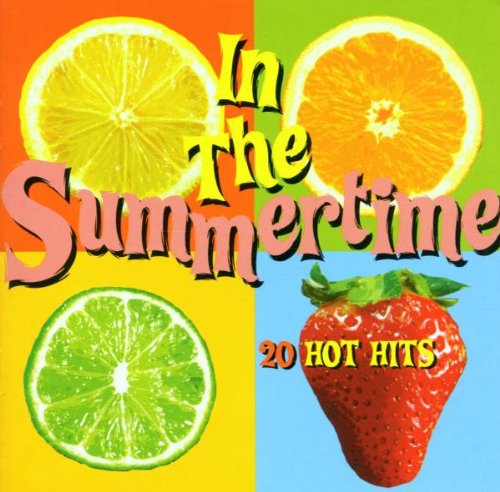 In The Summertime: 20 HOT HITS