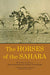 Horses Of The Sahara