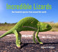 Incredible Lizards