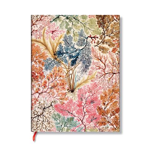 Anemone (William Kilburn) Mini Lined Softcover Flexi Journal (Elastic Band Closure)