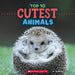 Cutest Animals (Wild World: Top 10