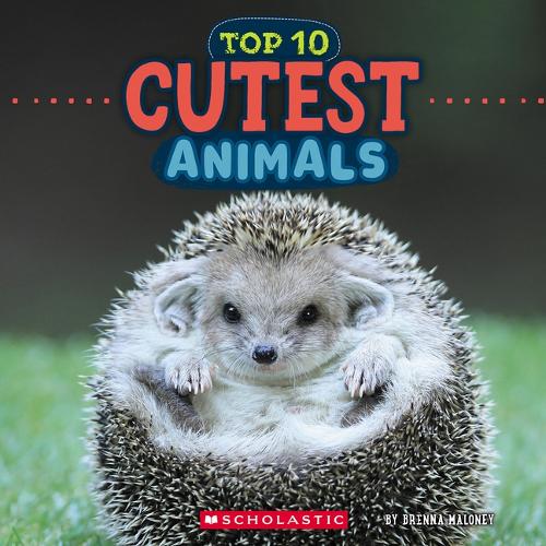 Cutest Animals (Wild World: Top 10