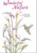 Wonders of Nature Colouring Book