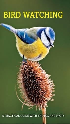 Birdwatching Boxset