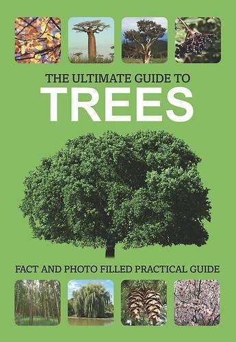 The Ultimate Guide to Trees