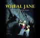 Wheal Jane
