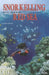 Snorkelling in the Red Sea