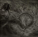 Into the womb of dissolving flames