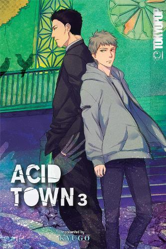 Acid Town, Volume 3 (Acid Town, 3
