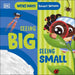 Smart Senses: Seeing Big, Seeing Small