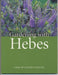 Gardening with Hebes