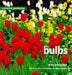 Bulbs