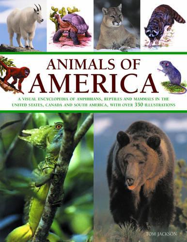 Animals of America