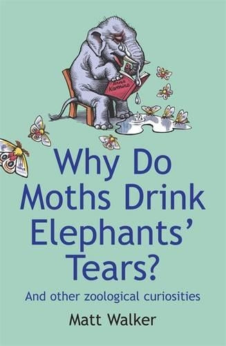 Why Do Moths Drink Elephants' Tears?