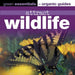 Attract Wildlife