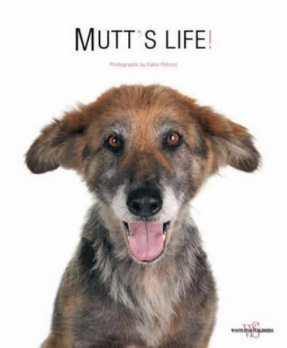 Mutts Life