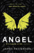 Angel: A Maximum Ride Novel