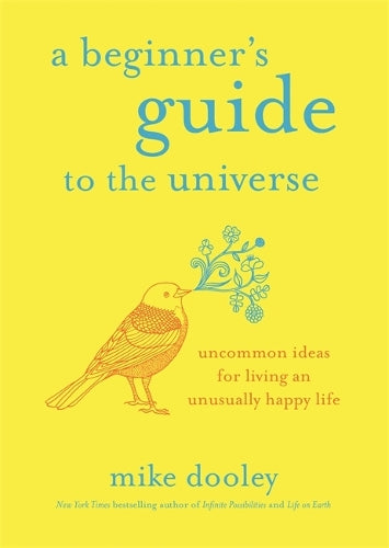 A Beginner's Guide to the Universe