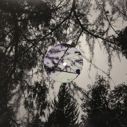 Can't Feel Born EP