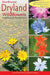 Northwest Dryland Wildflowers