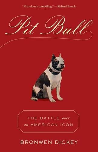 Pit Bull