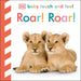 Baby Touch and Feel Roar! Roar!