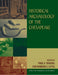 Historical Archaeology of the Chesapeake