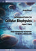 Introduction to Cellular Biophysics, Volume 2