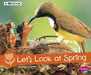 Let`S Look At Spring