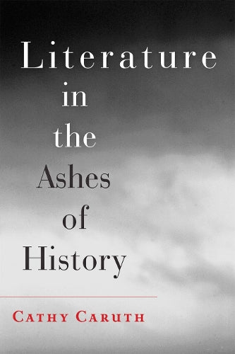 Literature In The Ashes Of History