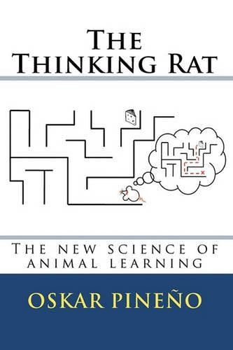 The thinking rat