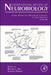 Animal Models for Medications Screening to Treat Addiction